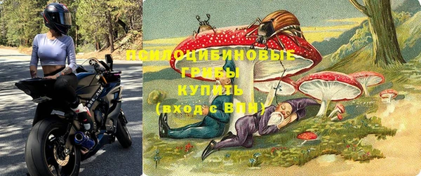 spice Алзамай