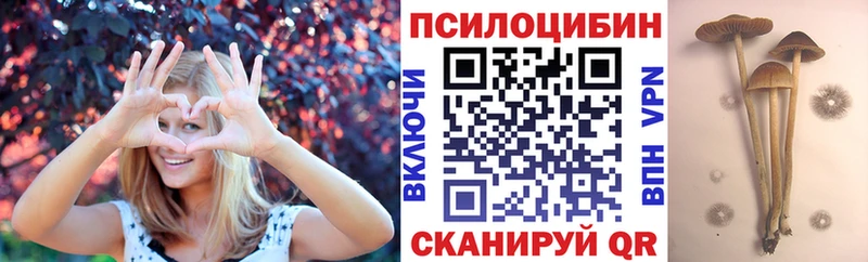 Галлюциногенные грибы Psilocybe  наркошоп  Хабаровск 